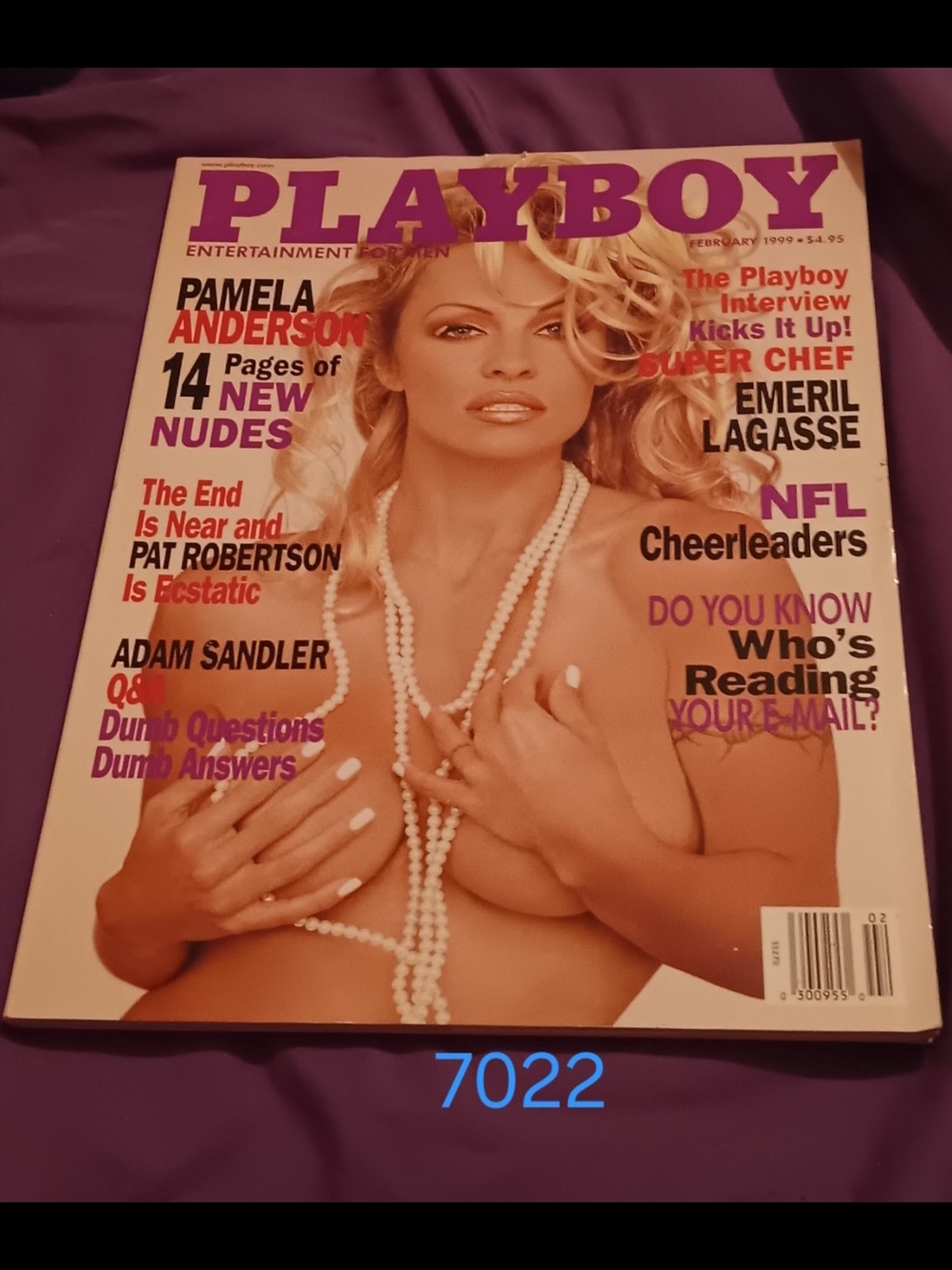 Playboy Magazine February 1999